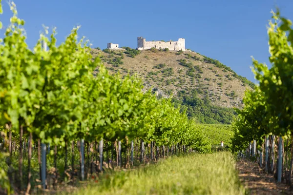 Weinberge, Burg devicky, Palava, Mähren Region, tschechische republi — Stockfoto