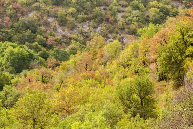 Rocamadour yakınlarındaki manzara, Bölüm Lot, Fransa