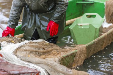 Çek Cumhuriyeti 'nde hasat göleti