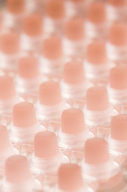 Şarap için pembe cam durdurucu