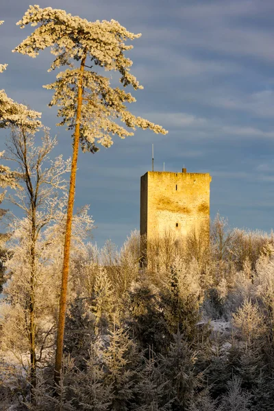 Mrazivé ráno na hradě Landštejn, Česká republika — Stock fotografie