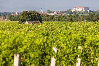 Üzüm bağları ve Siklos kalesi, Macaristan