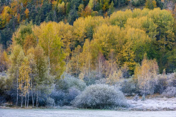 Autumn landscape in  central Provence, France — Stock Photo, Image