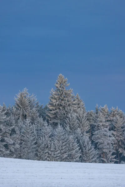 Vinter landskab i South Bohemia, Tjekkiet - Stock-foto