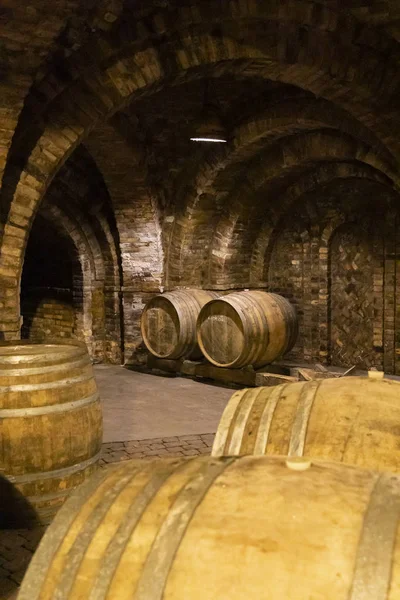 Barris de vinho na adega, Szekszard, Hungria — Fotografia de Stock