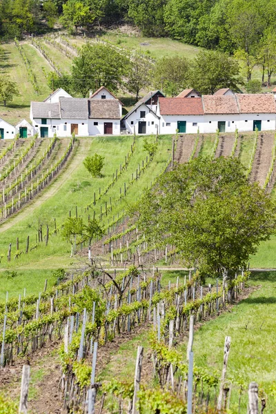 Wine cellars with vineyards, Galgenberg, Lower Austria, Austria — Stock Photo, Image