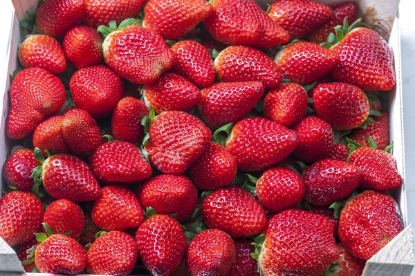 Bodegón de fresas rojas frescas —  Fotos de Stock