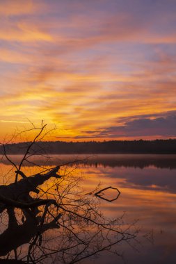 Gölün üzerinde gün doğumu güneşi, Trebon, Çek Cumhuriyeti