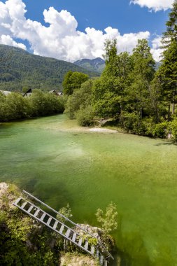 Sava Bohinjka, Triglav Ulusal Parkı, Slovenya