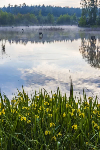 Vijver bij Trebon, Zuid-Bohemen, Czecg Republiek — Stockfoto