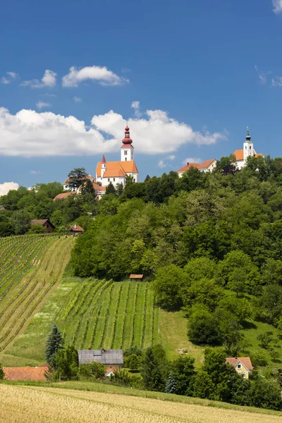 Stad Straden och vingårdar i Steiermark, Österrike — Stockfoto