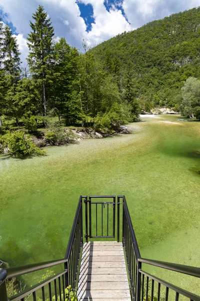 Sava Bohinjka w Parku Narodowym Triglav, Słowenia — Zdjęcie stockowe