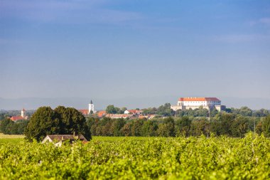 Üzüm bağları ve Siklos kalesi, Macaristan