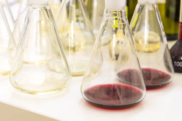 Wine's laboratory with traditional and modern apparatus — Stock Photo, Image