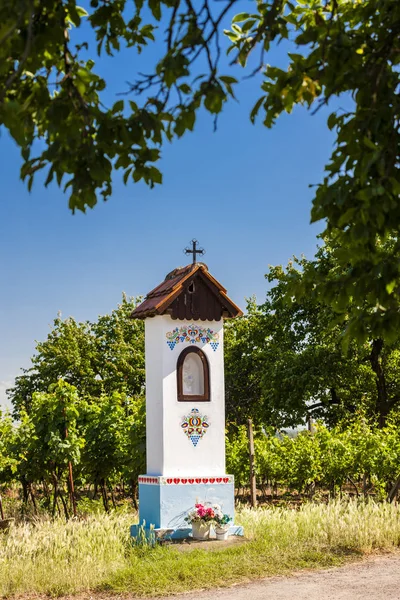 Gods foltering met wijngaard in de buurt van Nechory, Tsjechië — Stockfoto