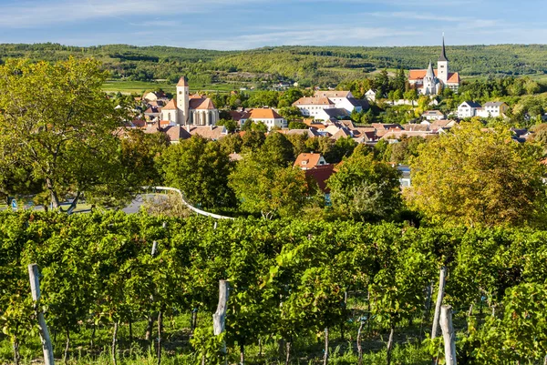 Weinberg bei Pulkau in Österreich — Stockfoto