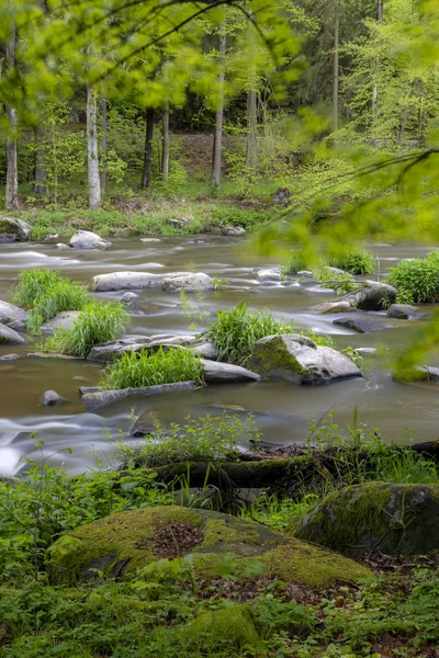 Rivière Sazava près de Smrcna, République tchèque — Photo