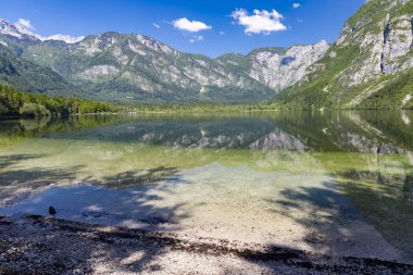 Slovenya 'daki Triglav Ulusal Parkı' nda Bohinj Gölü