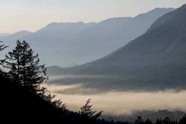 Údolí u jezera Bohinj v národním parku Triglav, Slovinsko — Stock fotografie