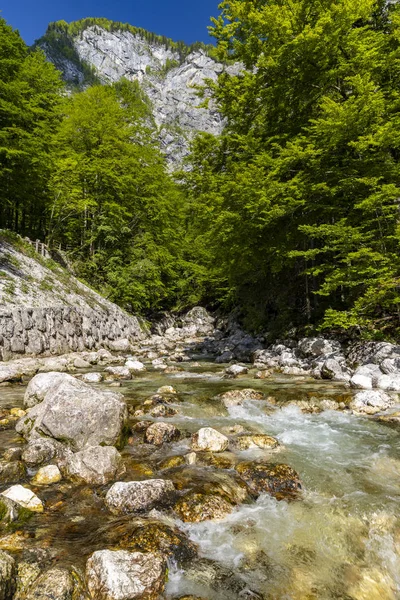 त्रिग्लाव्ह राष्ट्रीय उद्यान, स्लोव्हेनिया मध्ये बोहिंज तलाव जवळ नदी — स्टॉक फोटो, इमेज