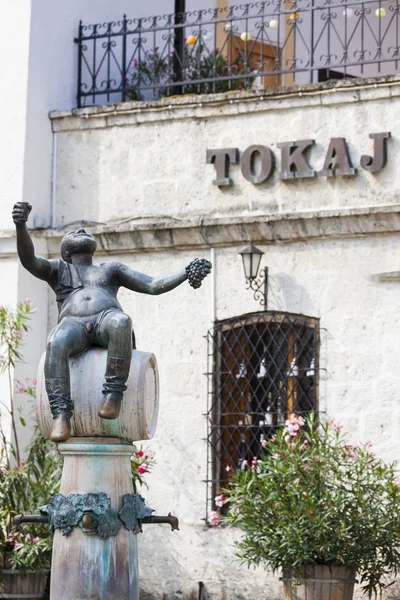 Piazza centrale a Tokaj, Ungheria — Foto Stock