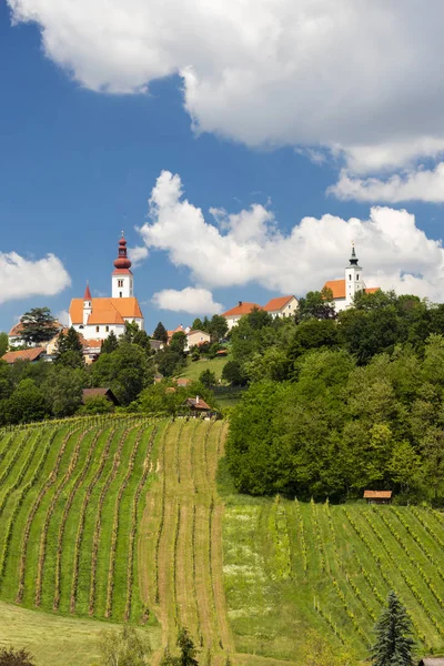 Město Straden a vinice ve Štýrsku, Rakousko — Stock fotografie