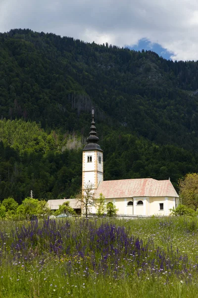 Церковь в Хереке возле озера Бохинь в Словении — стоковое фото
