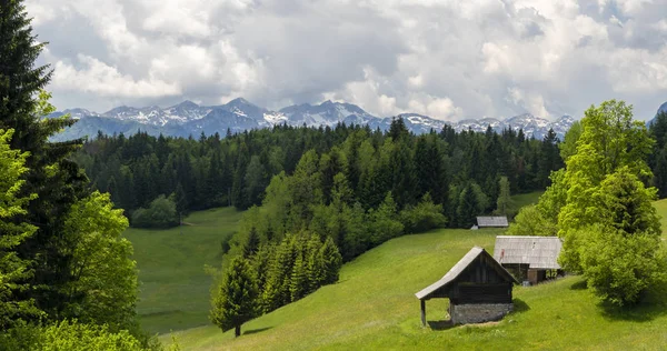 Parque nacional de Triglavski cerca del lago Bohinj, Eslovenia —  Fotos de Stock