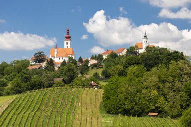 Styria, Avusturya 'daki Straden kasabası ve şarap bağları