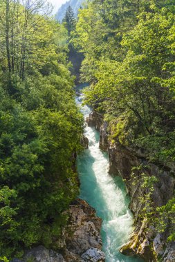 Rriver Soca, Triglavski Ulusal Parkı, Slovenya