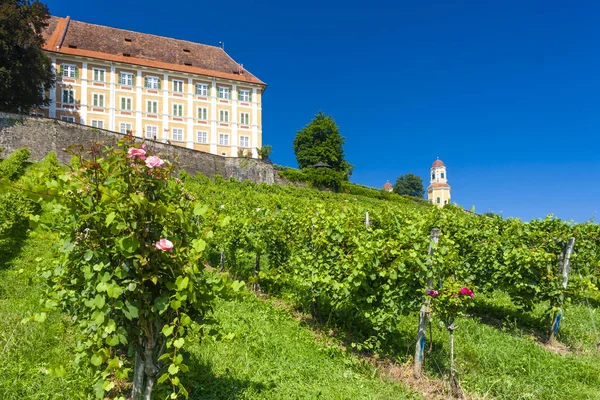 Castello e vigneto, Stiria, Austria — Foto Stock