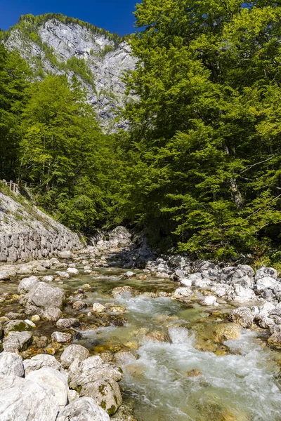 スロベニアのトリグラフ国立公園のBohinj湖の近くの川 — ストック写真