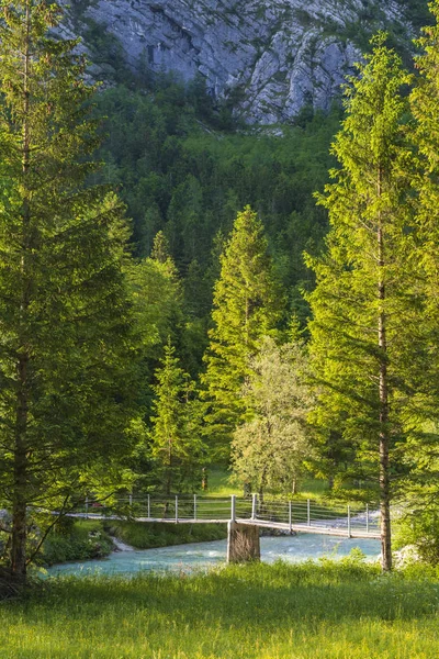 Rope bridge on the river Soca, Triglavski national park, Sloveni — Stock Photo, Image