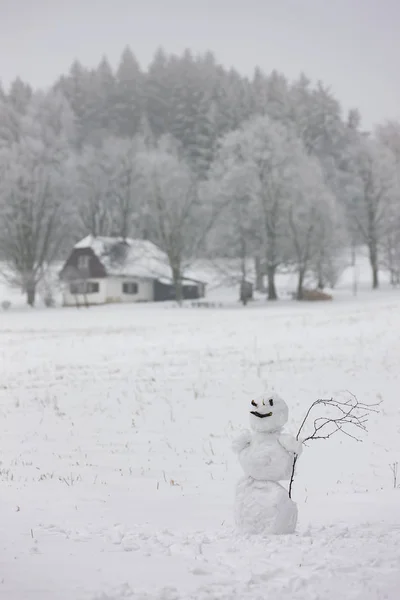 Muñeco de nieve en las montañas de Orlicke, República Checa — Foto de Stock