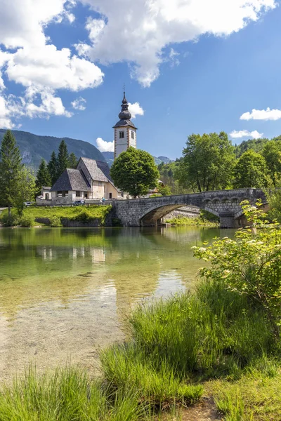 Озеро Бохинь в национальном парке Триглав, Словения — стоковое фото