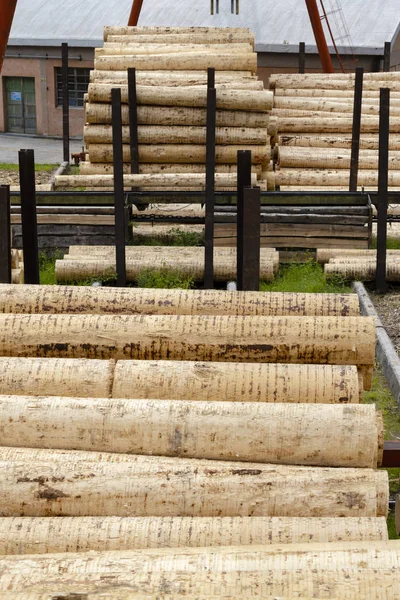 Βιομηχανία ξύλου στις Άλπεις, Ιταλία — Φωτογραφία Αρχείου
