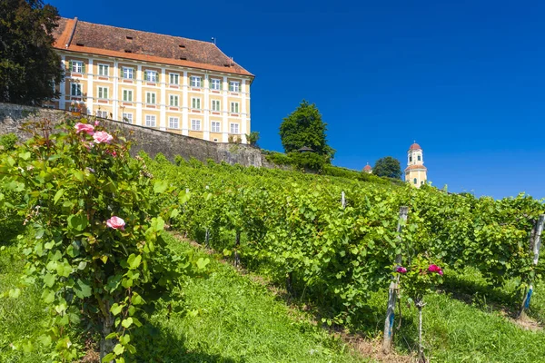 Kasteel Stainz en wijngaard, Stiermarken, Oostenrijk — Stockfoto