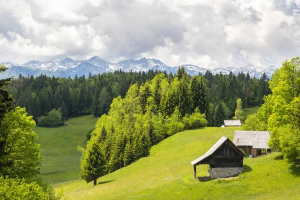 Triglavski národní park poblíž Bohinj Lake, Slovinsko — Stock fotografie