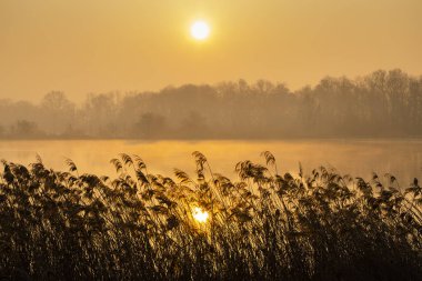 Çek Cumhuriyeti Jaroslavice Gölü üzerinde sunrice
