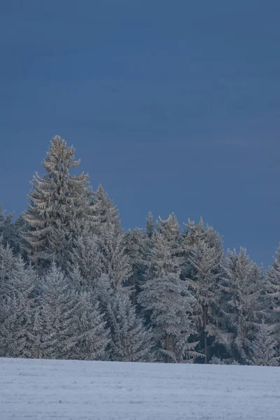 Vinter landskab i South Bohemia, Tjekkiet - Stock-foto