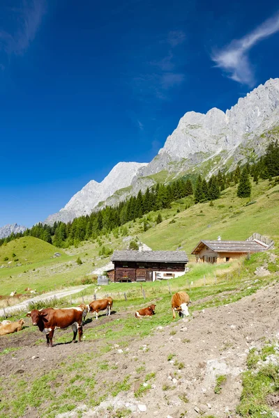 Alpes austríacos nas proximidades de Arturhaus e Bischofshofen — Fotografia de Stock