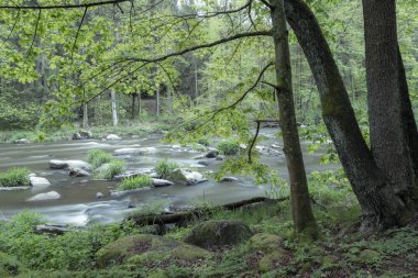 Çek Cumhuriyeti, Smrcna yakınlarındaki Sazava nehri
