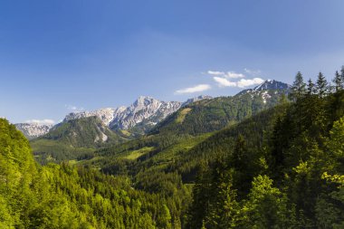 Avusturya 'daki Ulusal Park Kalkalpen