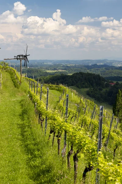 Viñedo con molino de viento llamado klapotetz en el sur de Estiria, Aust —  Fotos de Stock