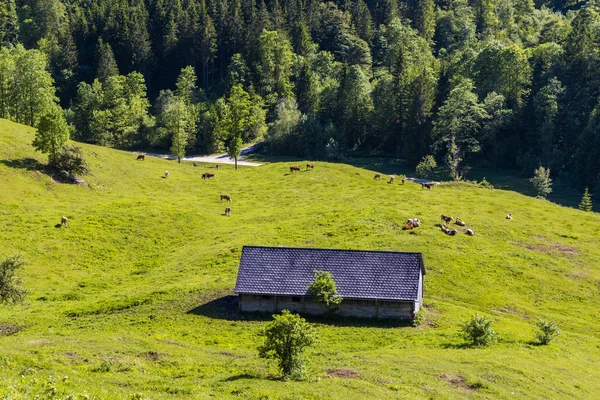 Národní park Kalkalpen v Rakousku — Stock fotografie