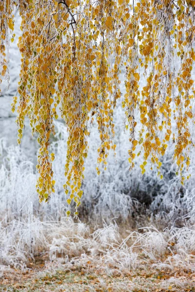 Vinterlandskap, Mähren, Tjeckien — Stockfoto