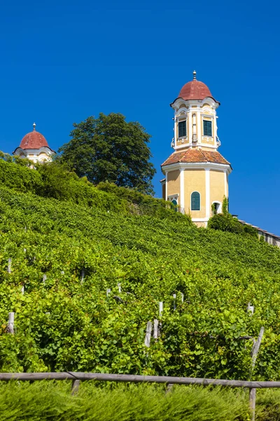 Schloss Stainz und Weinberg, Steiermark, Österreich — Stockfoto