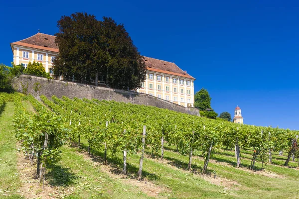 Castle and vineyard, Steiermark, Österrike — Stockfoto