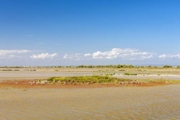 Nationalpark Camargue, Provence, Frankrike — Stockfoto