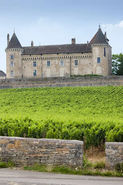 Chateau de Rully com vinhas, Borgonha, França — Fotografia de Stock